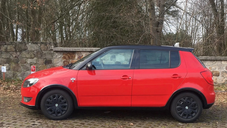 Skoda Fabia cena 22999 przebieg: 173509, rok produkcji 2011 z Skierniewice małe 667